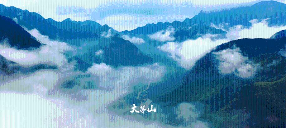 极限巅峰