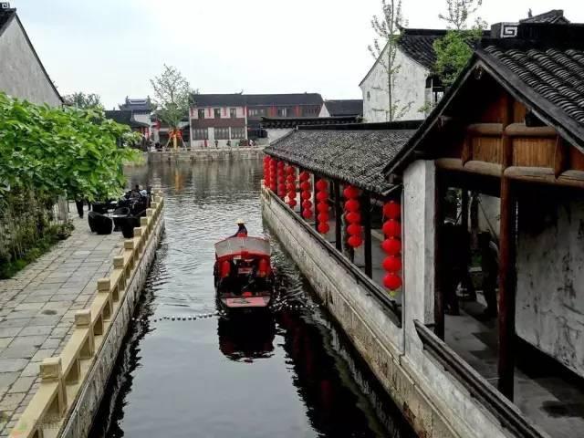 靠南方“小金豆”火了，完达山的漫漫营销路
